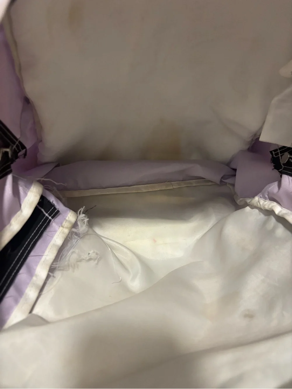 Jansport Light Lavender Classic Backpack